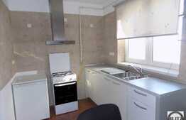 2 camere, 45 mp, terasa 33 mp, imobil nou, zona Iulius Mall