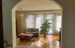 Casa individuala, cu front la 2 strazi, Dambu Rotund