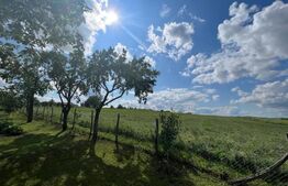 Comision 0! Teren intravilan, 15 000 mp, toate utilitatile la front, zona Estica