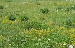 Teren intravilan 1260 mp, acces pe drum public asfaltat, zona Baciu