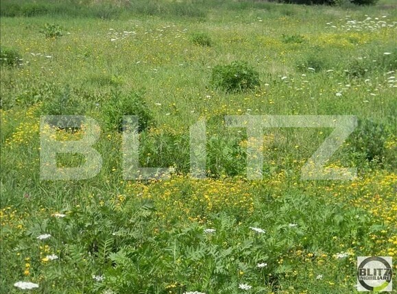 Teren de vânzare Baciu - 147584TV | BLITZ Cluj-Napoca | Poza1
