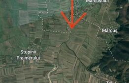 Teren extravilan intabulat 7100 mp între Stupinii Prejmerului și Dobârlău