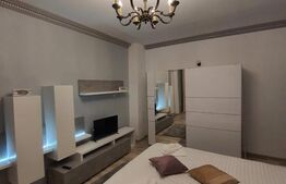 Reducere de pret! Pensiune la cheie, 2 apartamente, Turda Noua 