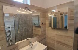 Reducere de pret! Pensiune la cheie, 2 apartamente, Turda Noua 