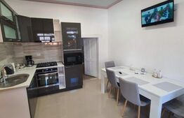 Reducere de pret! Pensiune la cheie, 2 apartamente, Turda Noua 