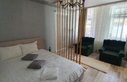 Reducere de pret! Pensiune la cheie, 2 apartamente, Turda Noua 