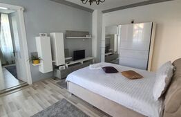 Reducere de pret! Pensiune la cheie, 2 apartamente, Turda Noua 