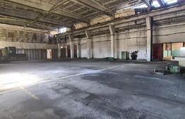 Spatiu Industrial, 3200 mp, 3E/mp in zona Uzina 2