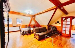 Apartament de 3 camere, 150mp, Centrul Istoric