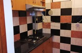 Apartament 1 camera, cu teren, pod mansardabil, pivniță, loc de parcare