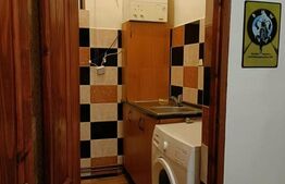 Apartament 1 camera, cu teren, pod mansardabil, pivniță, loc de parcare