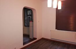 Apartament 1 camera, cu teren, pod mansardabil, pivniță, loc de parcare