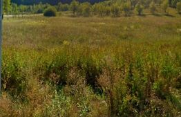 Teren intravilan 10220mp,cu front de 68ml la drum european, in Nima