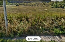 Teren intravilan 10220mp,cu front de 68ml la drum european, in Nima