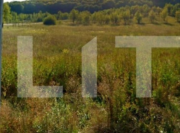 Teren de vânzare Exterior Est - 147798TV | BLITZ Cluj-Napoca | Poza4