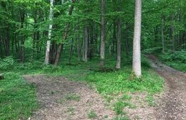 Teren intravilan, 1300 mp, Faget 