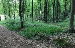 Teren intravilan, 1300 mp, Faget 