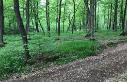 Teren intravilan, 1300 mp, Faget 