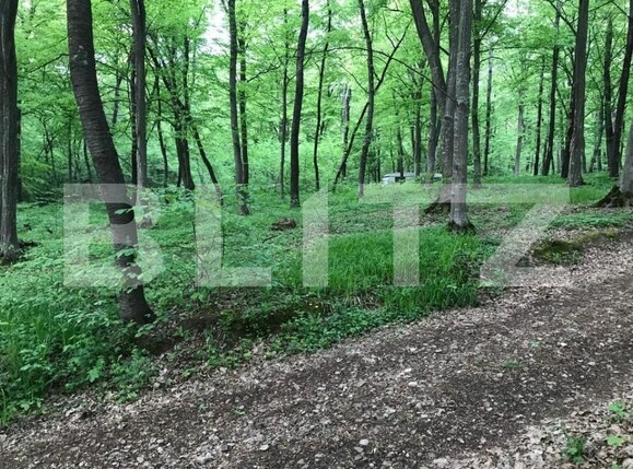 Teren de vânzare Făget - 147824TV | BLITZ Cluj-Napoca | Poza4