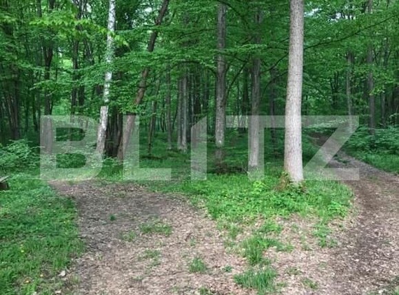 Teren de vânzare Făget - 147824TV | BLITZ Cluj-Napoca | Poza3