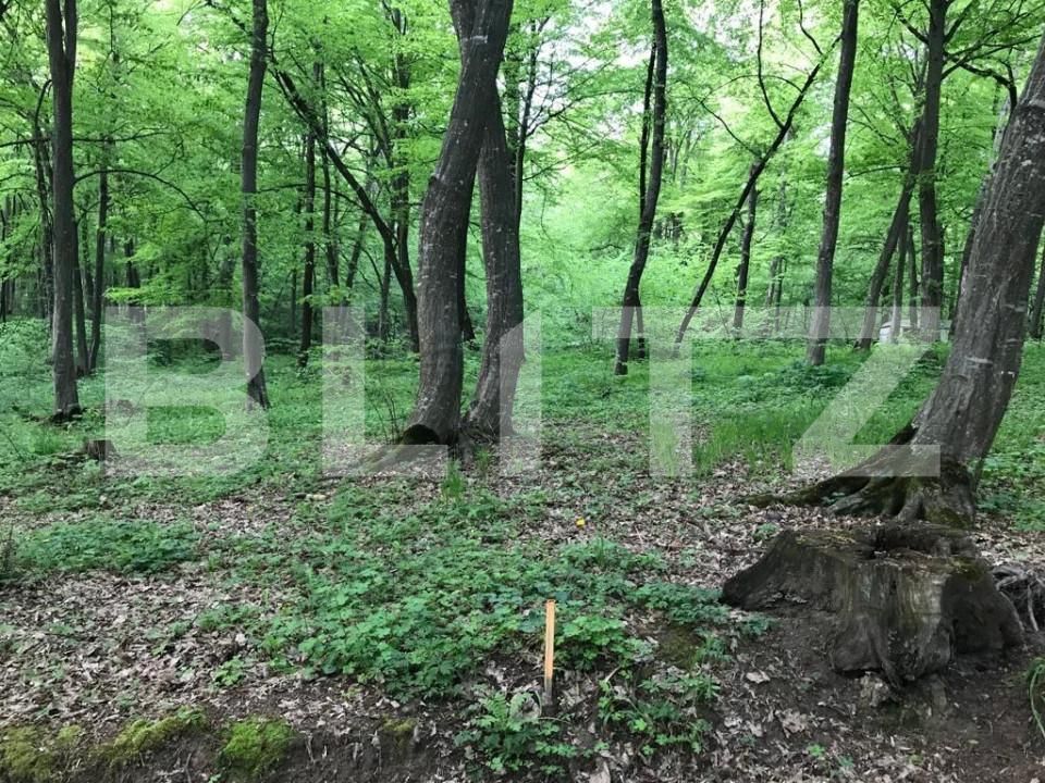 Teren de vânzare Făget - 147824TV | BLITZ Cluj-Napoca | Poza1