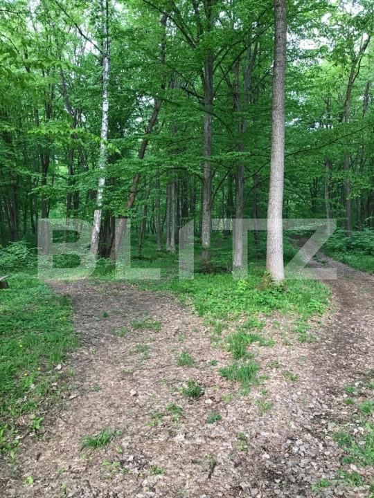 Teren de vânzare Făget - 147824TV | BLITZ Cluj-Napoca | Poza3