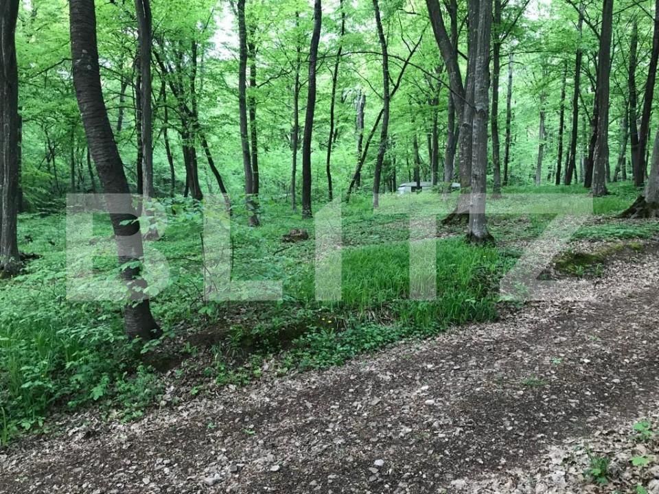 Teren de vânzare Făget - 147824TV | BLITZ Cluj-Napoca | Poza4