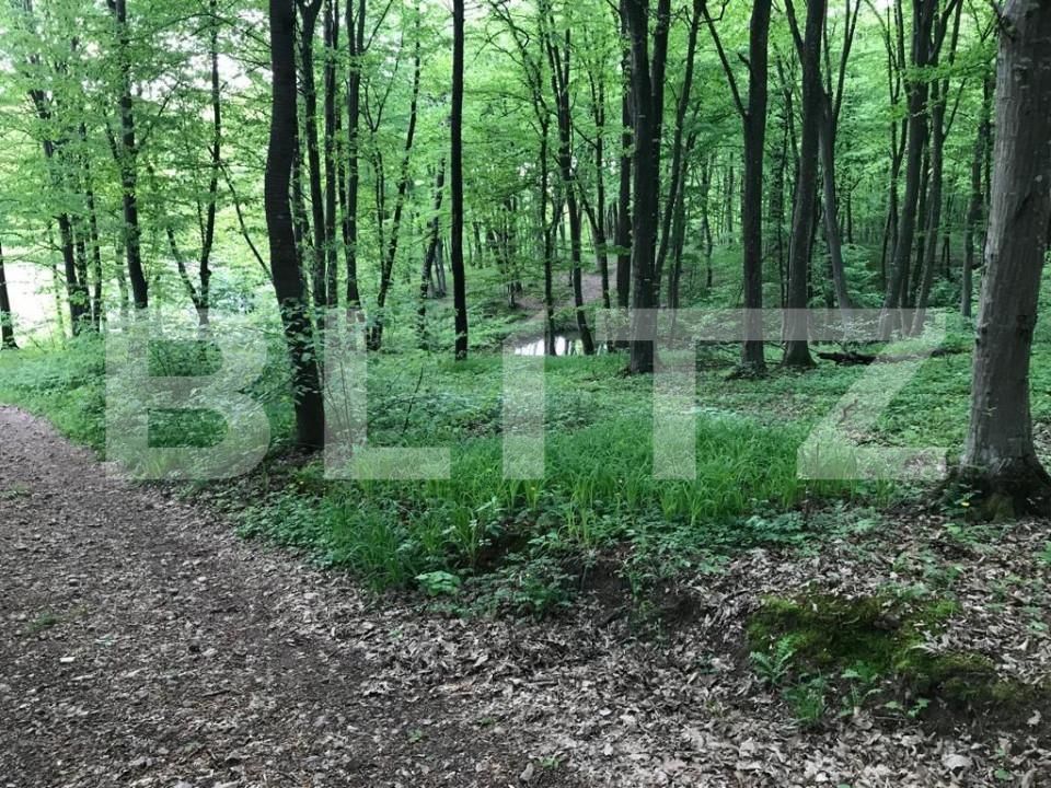 Teren de vânzare Făget - 147824TV | BLITZ Cluj-Napoca | Poza5