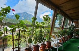 Casa deosebita S+P+M, 5 camere, 336mp, curte 560mp, Busteni