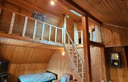 Casa deosebita S+P+M, 5 camere, 336mp, curte 560mp, Busteni