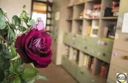 3 camere, 105 mp, imobil tip vila, garaj, loc parcare, boxa, zona strazii Gruia