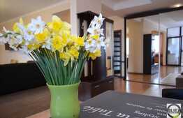 3 camere, 105 mp, imobil tip vila, garaj, loc parcare, boxa, zona strazii Gruia