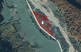 Teren 10.000 mp, Valea Zizinului