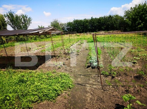 Teren de vânzare Exterior Nord - 147919TV | BLITZ Brașov | Poza4