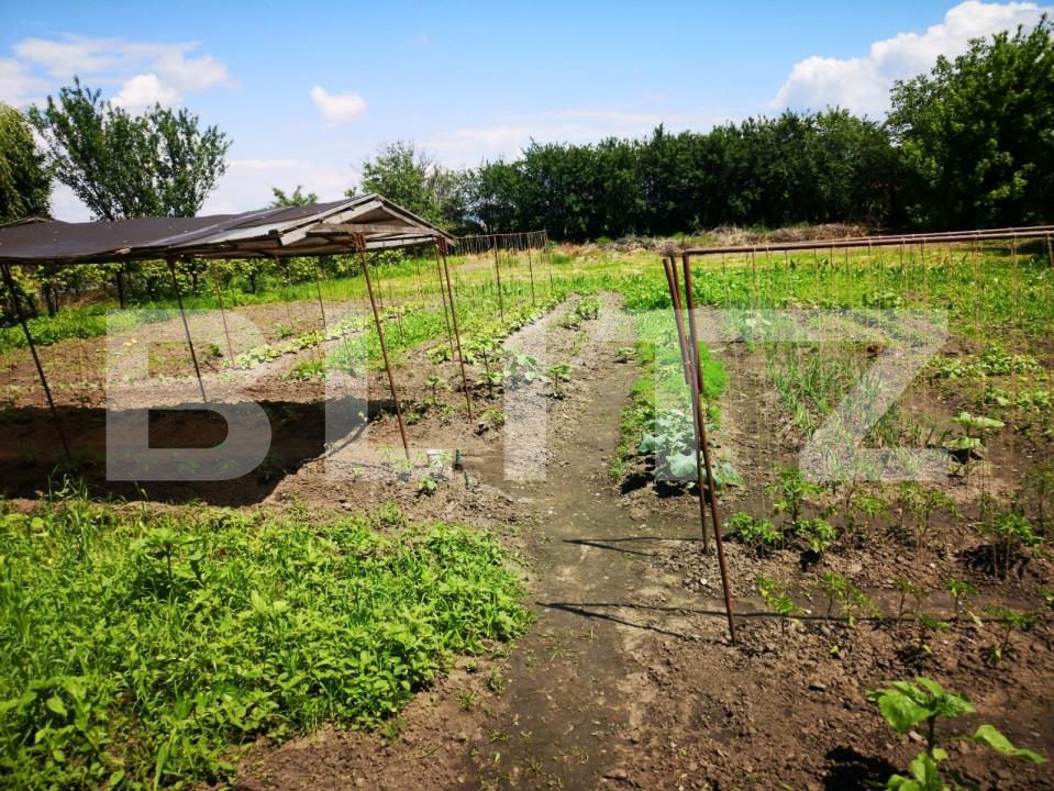 Teren de vânzare Exterior Nord - 147919TV | BLITZ Brașov | Poza4