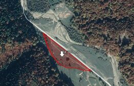 Teren 14.300 mp, Valea Zizinului
