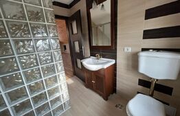 Vila / Casa de vis,  246 mp utili, garaj, Stupini