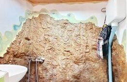 Casa 3 camere, 319 mp teren, panorama, Schei 