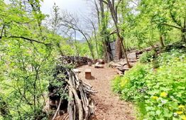 Casa 3 camere, 319 mp teren, panorama, Schei 