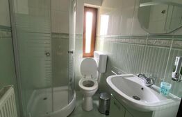 Casa cu potential turistic, 380 mp, FUNDATA
