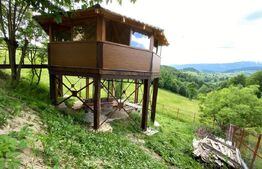 Casa cu potential turistic, 380 mp, FUNDATA