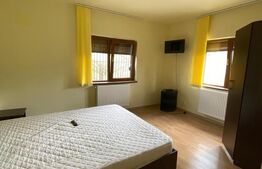 Casa cu potential turistic, 380 mp, FUNDATA