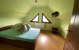 Casa cu potential turistic, 380 mp, FUNDATA