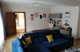 Casa deosebita, 1545 mp teren, in Cristian, potential pensiune