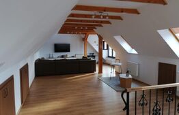 Casa deosebita, 1545 mp teren, in Cristian, potential pensiune