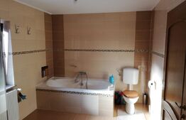 Casa deosebita, 1545 mp teren, in Cristian, potential pensiune