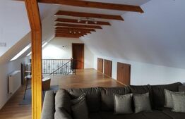 Casa deosebita, 1545 mp teren, in Cristian, potential pensiune