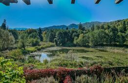 Vila rezidentiala pe Lac, 623 mp, teren 1360 mp, cartier Noua