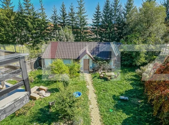 Casa de vânzare 14 camere Noua - 147931CV | BLITZ Brașov | Poza5
