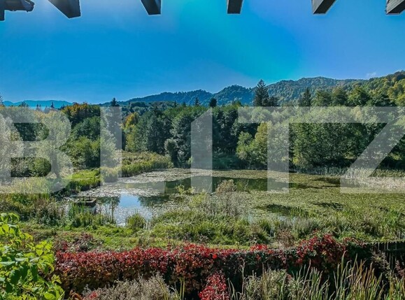 Casa de vânzare 14 camere Noua - 147931CV | BLITZ Brașov | Poza10